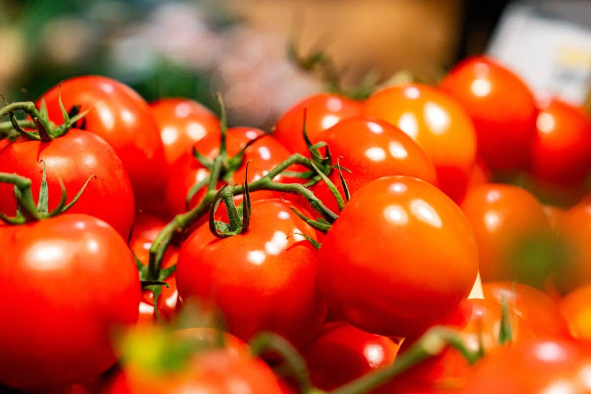 Nahausnahmen von Tomaten
